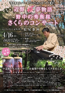 ♪２０１７年４月１６日（日） 近野 桜 夢物語 野中の秀衡（ひでひら）桜 さくらのコンサート